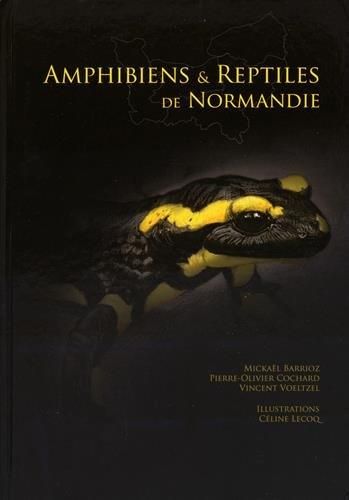 Amphibiens et reptiles de Normandie